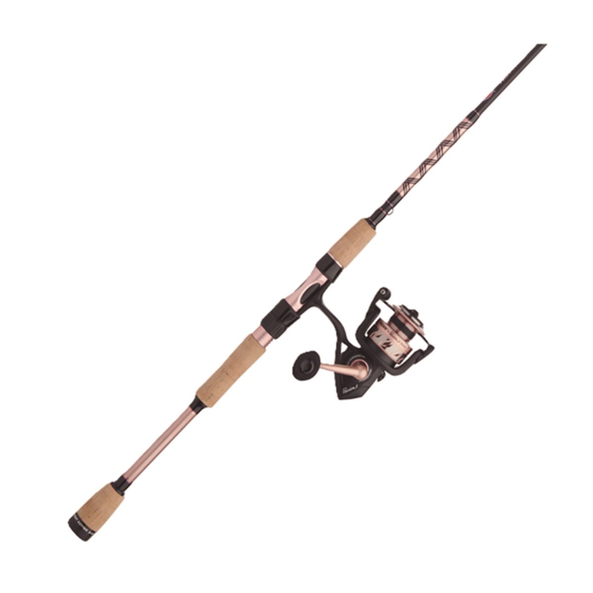 Combo de Spinning Penn Passion II